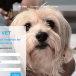 Κτηνιατρική κλινική, Κτηνίατρος, Veterinarian, Φροντίδα ζώων 5