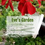 Μελέτη Κήπου, Συντήρηση Κήπου, Κηπουργικές Εργασίες, Κηπουρός, Αρχιτεκτονική Τοπίου