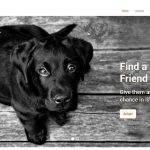 Φιλοζωϊκή, Φιλοζωϊκό Σωματείο, Καταφύγιο Αδέσποτων, Φροντίδα ζώων